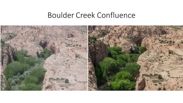 Boulder Creek Confluence